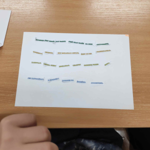 Higiena cyfrowa - projekt